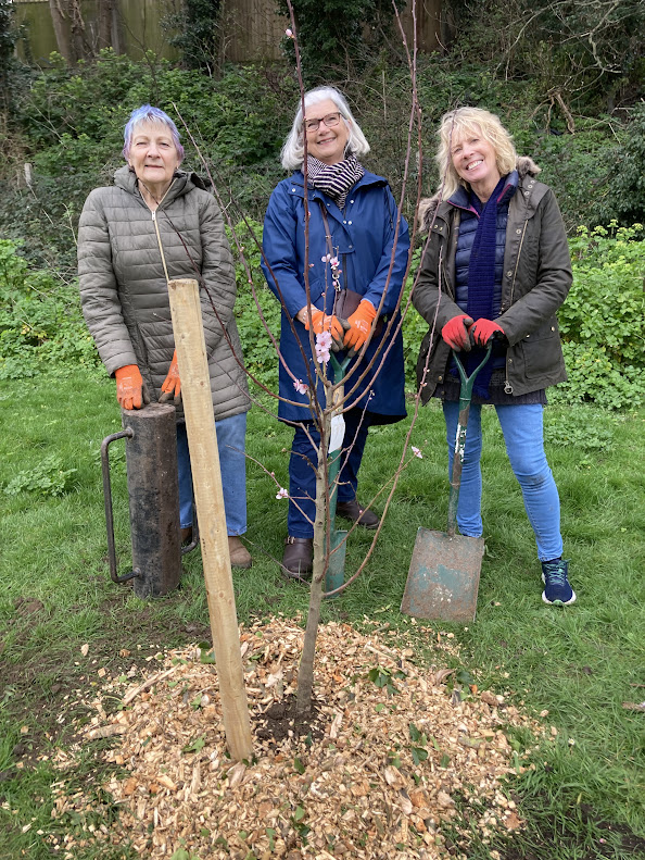 Tree planting for our 11th birthday